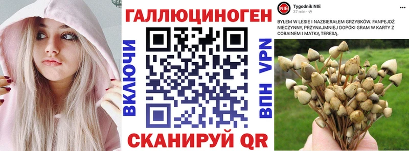 Галлюциногенные грибы мицелий Буй